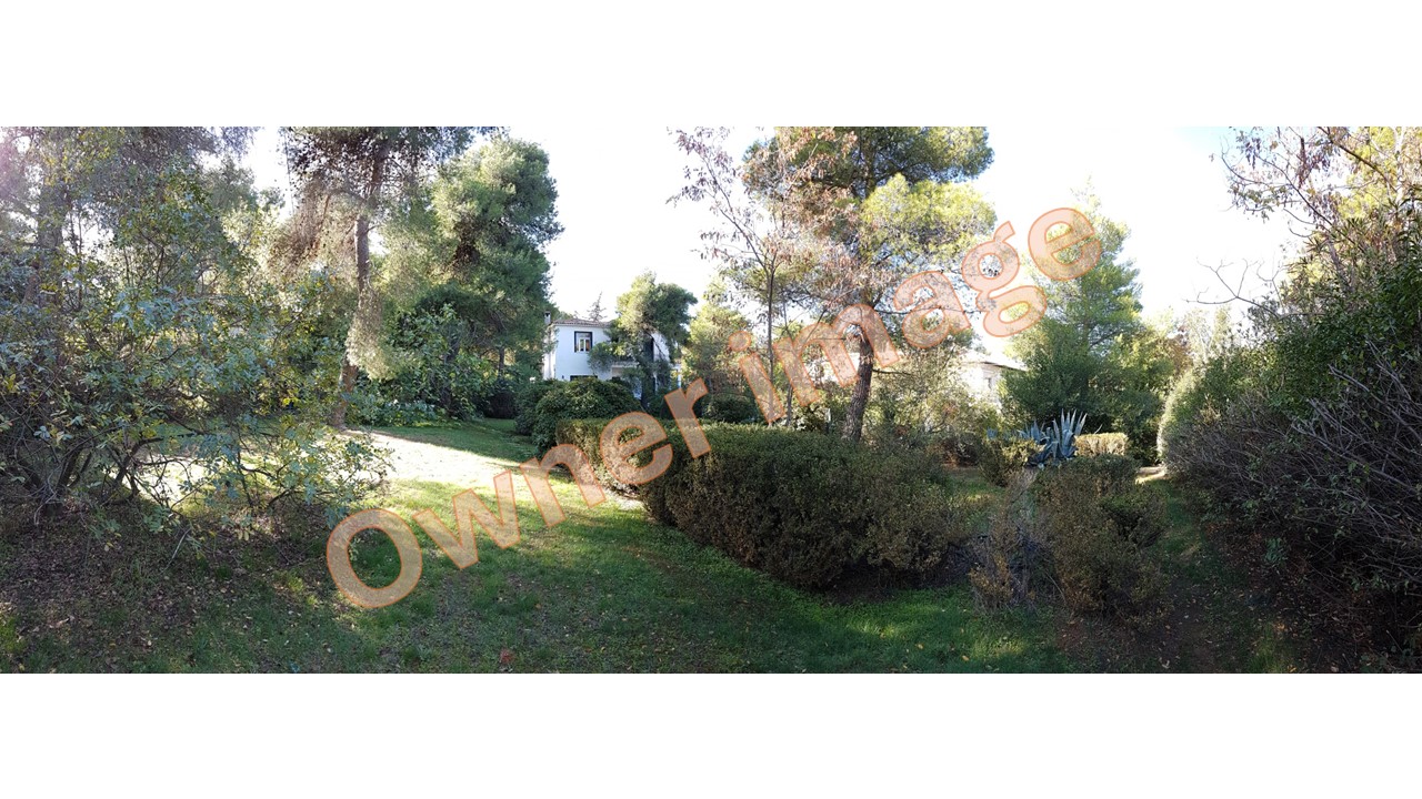 Alternative angle of Ekali plot and neighbouring properties